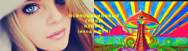 молекула духа Волосово