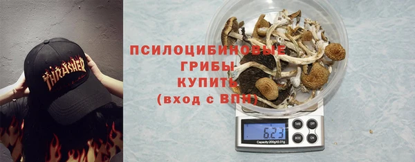 дживик Володарск