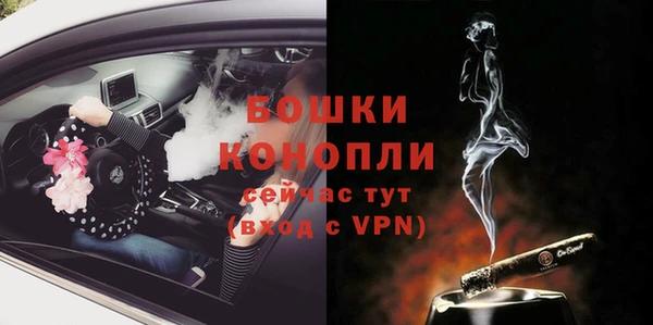сатива Волоколамск