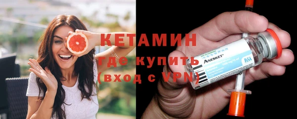 сатива Волоколамск