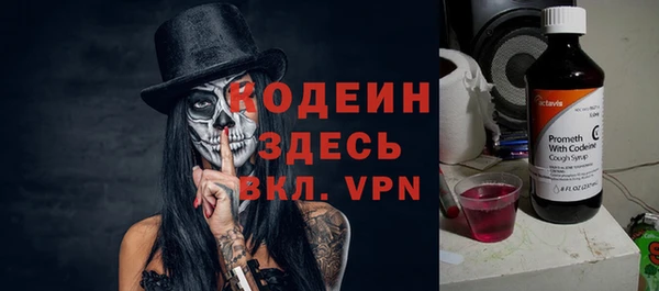 молекула духа Волосово