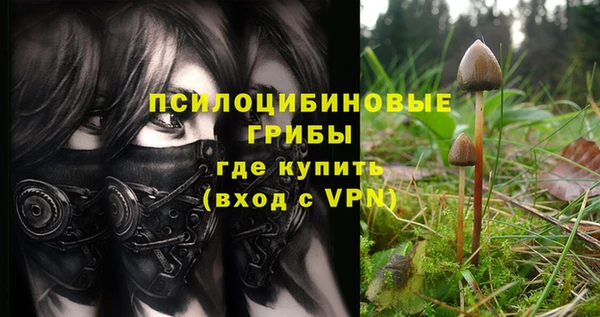 молекула духа Волосово