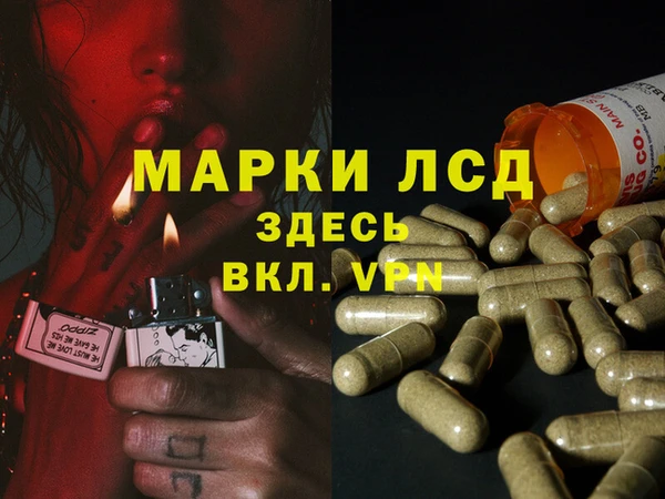 сатива Волоколамск