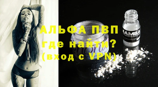 дживик Володарск