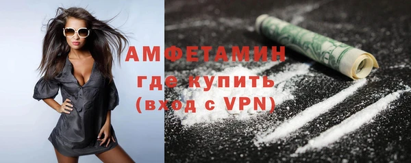 сатива Волоколамск