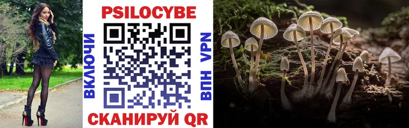 MEGA   Заозёрный  Псилоцибиновые грибы мухоморы 